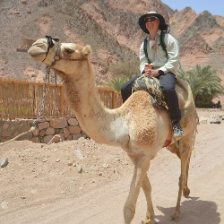 IMG-743e5a99ecc25c15c16b29c17cf72436-V